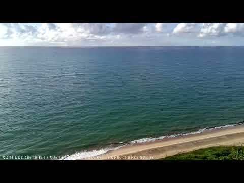 Praia do Forte - Mata de São  João -BA-Brasil de Cima