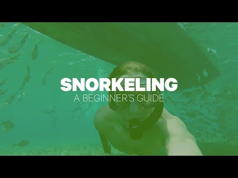Snorkeling: A Beginner's Guide