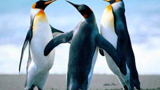 vista hace fe - charlie palmieri