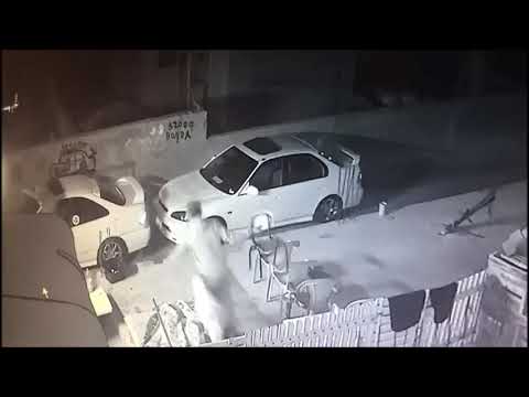 פוסטה: יורים לעבר רכב בפרדיס ונמלטים