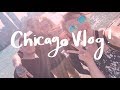 Chicago Vlog - Birthday Boy Bash 🦁