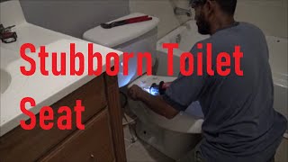 How to change a toilet seat that can