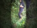 Gadis Cantik Selingkuh Di Kebun