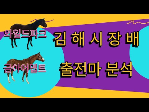 10/19-강태성-부산-5경주-김해시장배(와일드파크,금아어뎁트,슈퍼에어로,퍼니와일드) 출전만 분석