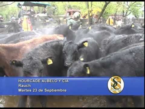 Hourcade Albelo y Cía. S.C.C. - Rauch - 23/09/2014