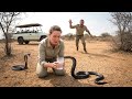 Animals That Asked People for Help & Kindness DEFAULT Thumbnail