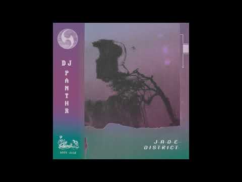 DJ Panthr - My World