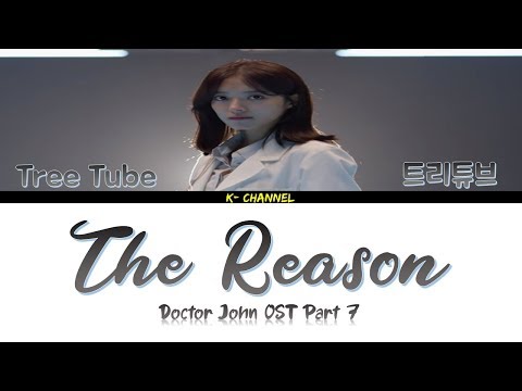 The Reason 이유 - Tree Tube 트리튜브 Doctor John 의사 요한 OST Part 7 (Han/Rom/가사)