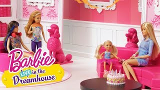 Happy Birthday Chelsea | Barbie LIVE! In the Dreamhouse | Barbie