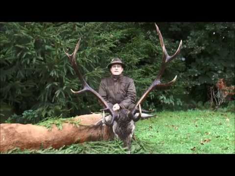 "Silberhochzeit Hirsch"