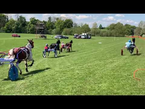 Appleby Harness Racing - Trotting Race 1-5 30/5/21