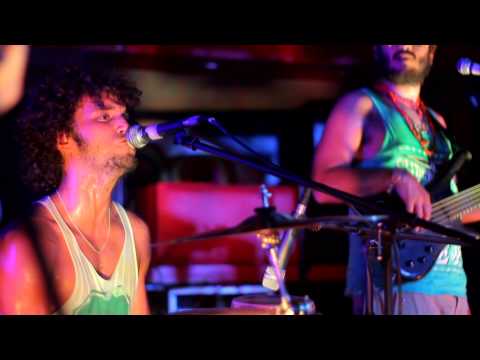 El Caribefunk (camarón que se duerme) - Vivo