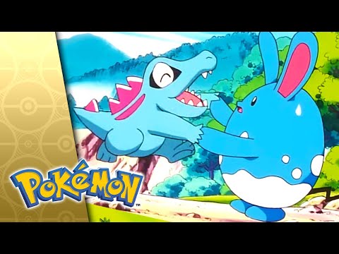Love, Totodile Style! | POKÉMON FULL EPISODE 37 | Season 3