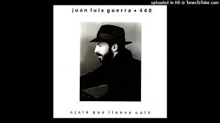 Juan Luis Guerra Y 4.40 - Reina Mía (HQ Audio)