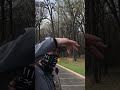 Bird Watching For A Few Minutes In The Oakton College Parking Lot