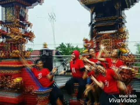 Nyame voli lampung phinisi