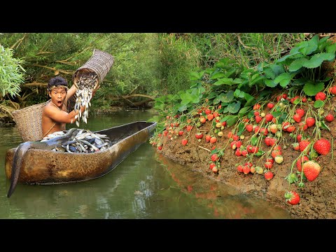 Survival in the forest - fishing in the river found strawberries, Eat delicious strawberries