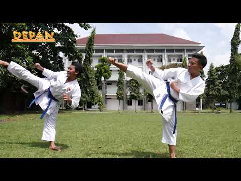 TEKNIK DASAR KARATE
