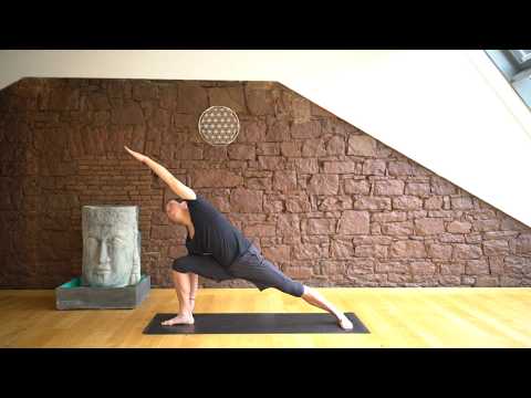 14 seitlicher WInkel Der Yoga Coach by Stephan Suh