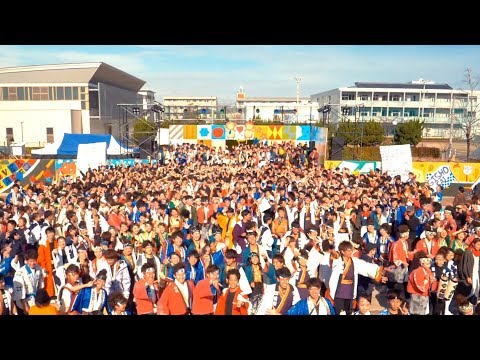 Love & Peace | 岐聖祭 2019 |岐阜聖徳学園大学