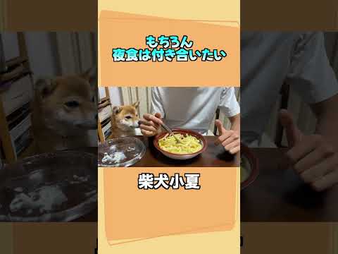 youtube-動物記事1970/01/01 09:00:00