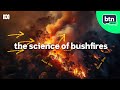 Bushfire Science BTN High