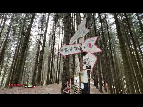 Drumul Familiar - Cabana Piatra Mare - Vârful Piatra Mare, Timișu de Jos, jud. Brașov.