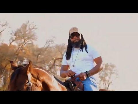 Joe D - Under The Moon