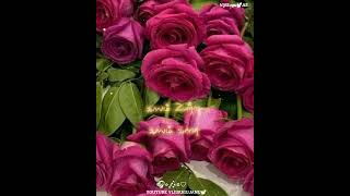 Download lagu Nenjam oruMurai nee endradhu whatsapp statusπ song vijiSuguβ€ mp3 Download lagu Nenjam oruMurai nee endradhu whatsapp statusπ song vijiSuguβ€ mp3