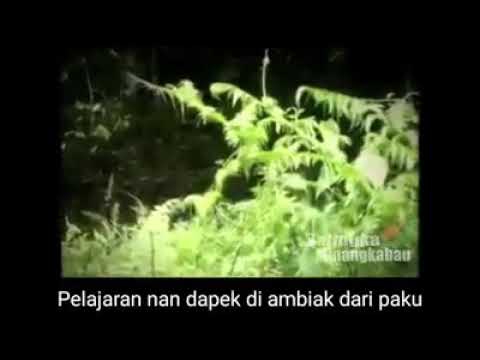 pasan mamak ka kamanakan👍