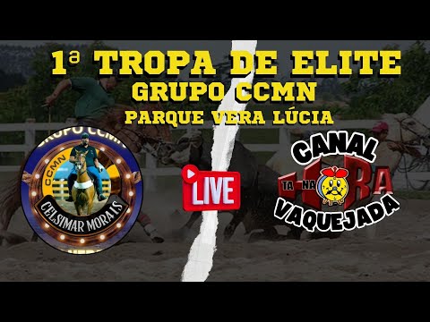 VAQUEJADA AO VIVO PARQUE VERA LÚCIA TIMBAÚBA - PE