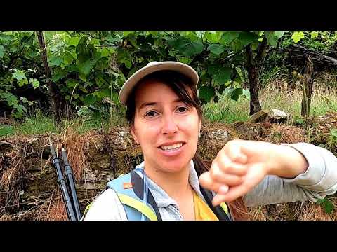 PR 3 Georota do Orvalho