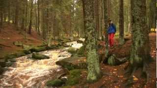 Kalandozó, Dél-Csehország I.