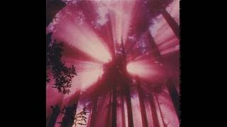 Emerald Web - Ars Nova (1982)