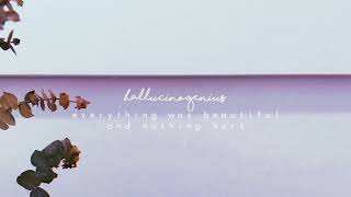 hallucinogenius - everything was beautiful and nothing hurt