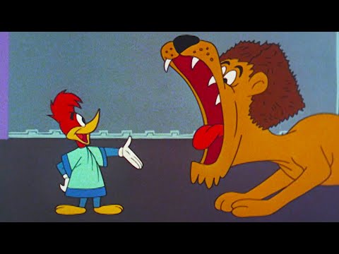 Woody Vs a Lion! 🦁 | Woody Woodpecker