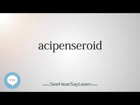 acipenseroid (Every English Word Pronounced) 📕🔊🗣️😎✅