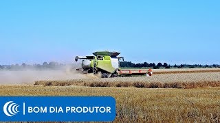 Miniatura do vídeo