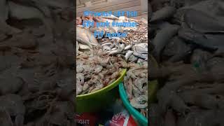#prawns#all #fish# Bengali# market #number#1 viral#good #Fish# Market#home