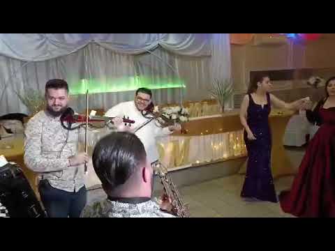 Pocetak Veselja Bec / Orkestar Zoki Banacan