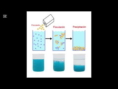 Aditivos e ingredientes en la industrialización de azúcar.