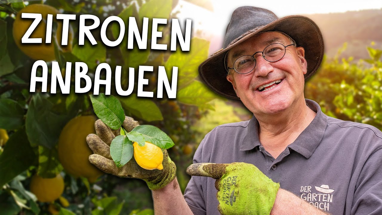 Obst anbauen Video 4