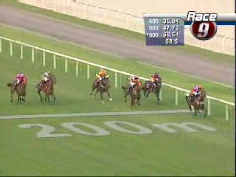 MERLION TROPHY 24/02/08 - WHY BE