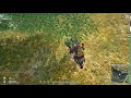 High Skill Ni Wakakaka