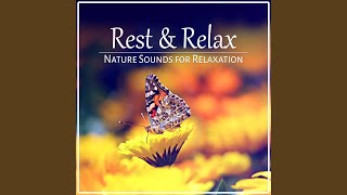 Flute, Piano & Guitar Music with Rain Noise