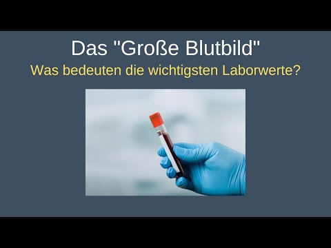 Was bedeuten die Laborwerte im "Großen Blutbild" - Angela Wadenpohl interviewt Dr. Volker Schmiedel