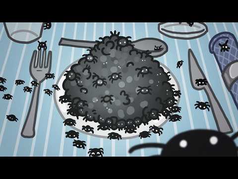 Who’s Eating All The Spiders?