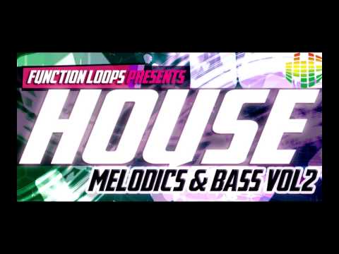 House Melodics & Bass 2 - AEM Video