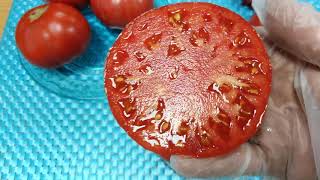 Томат Бердский крупный описание сорта помидоров характеристики посадка и выращивание болезни и вредители отзывы - полная информация