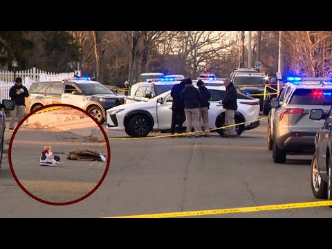 Brockton Arrests